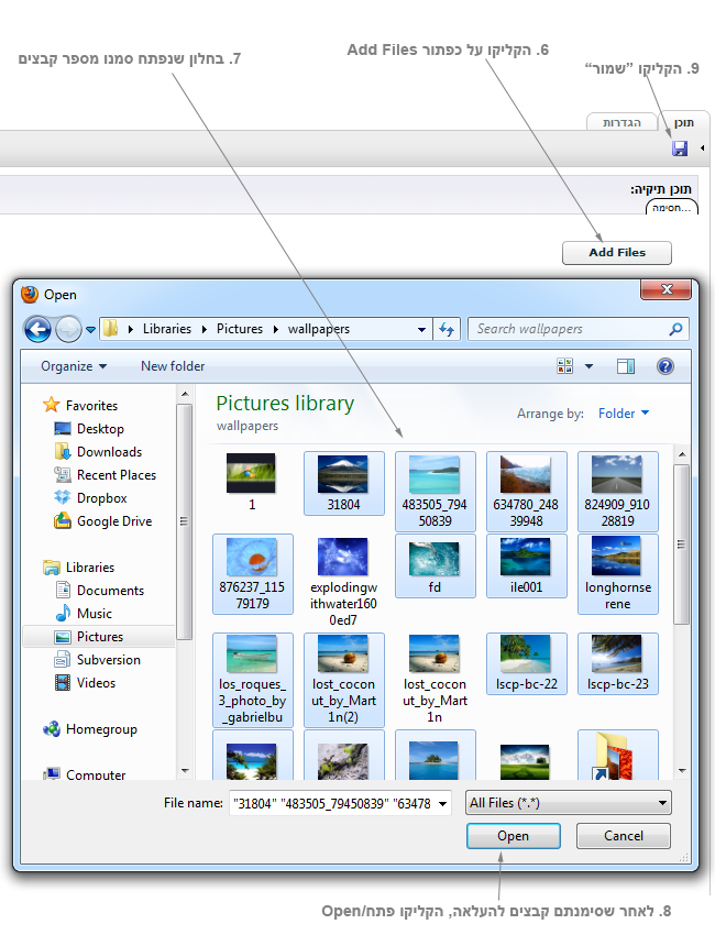 Add Multiple Files