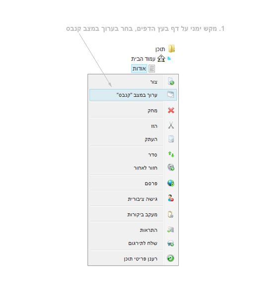עריכה במצב קנבס